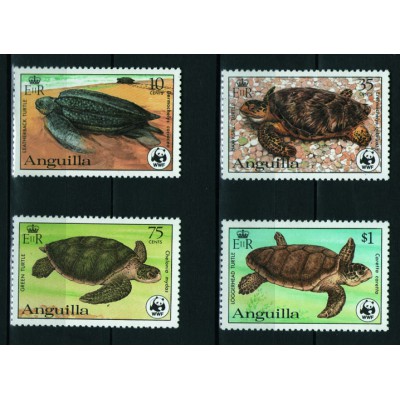 Tortugas Marinas